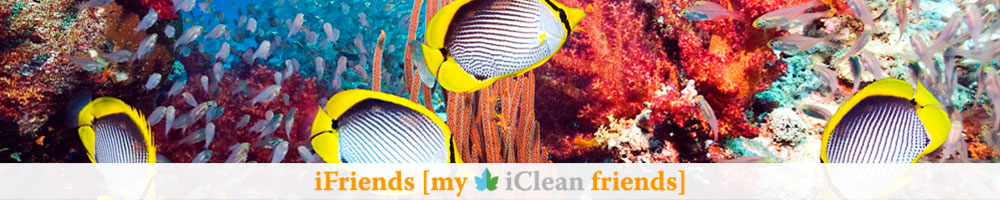 iFriends [my iClean friends] → more information www.cleanandgreen.net